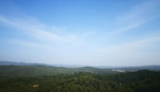 如何优化网络推广的内容策略？